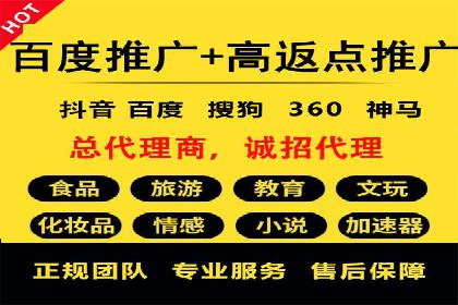 某公司信息流广告的精准投放与效果评估